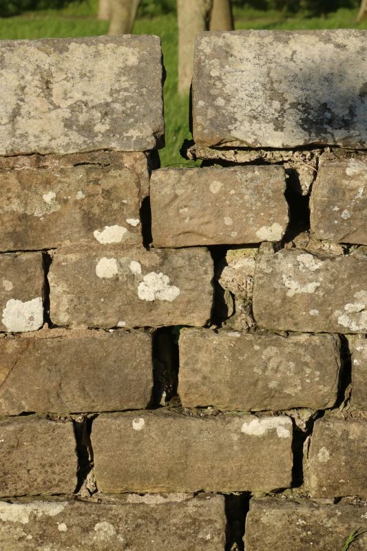 Stone Wall Repair in Forest Park, GA